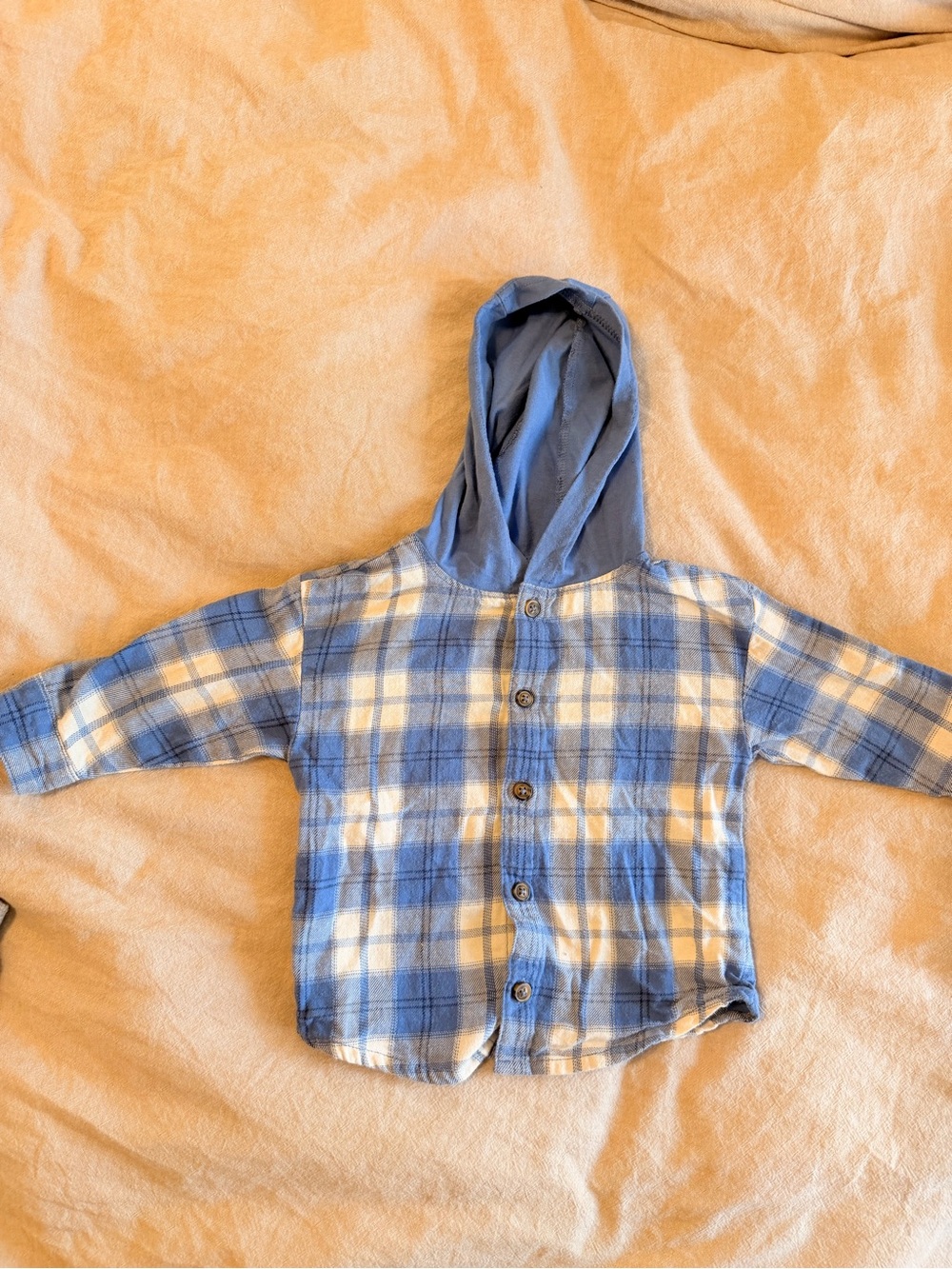 Carter's Blue and White Plaid Hooded Button-Down Shirt